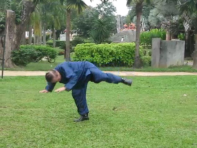 Shaolin 36 Leg Techniques